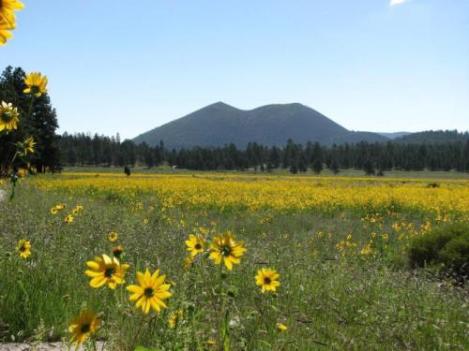 Sunset Crater Volcano National Monument, near Flagstaff | Courtesy of National Park Service